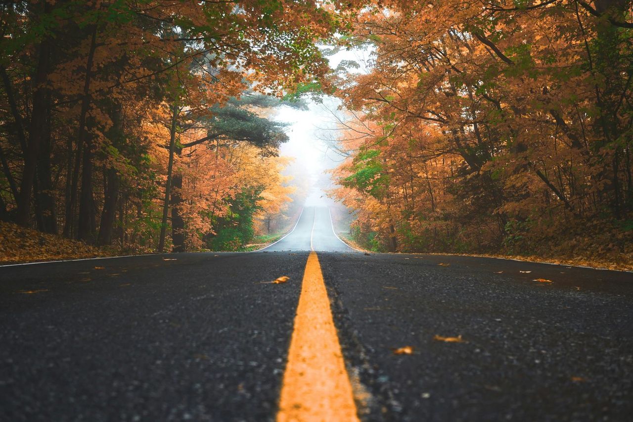 An open road winding through autumn woods